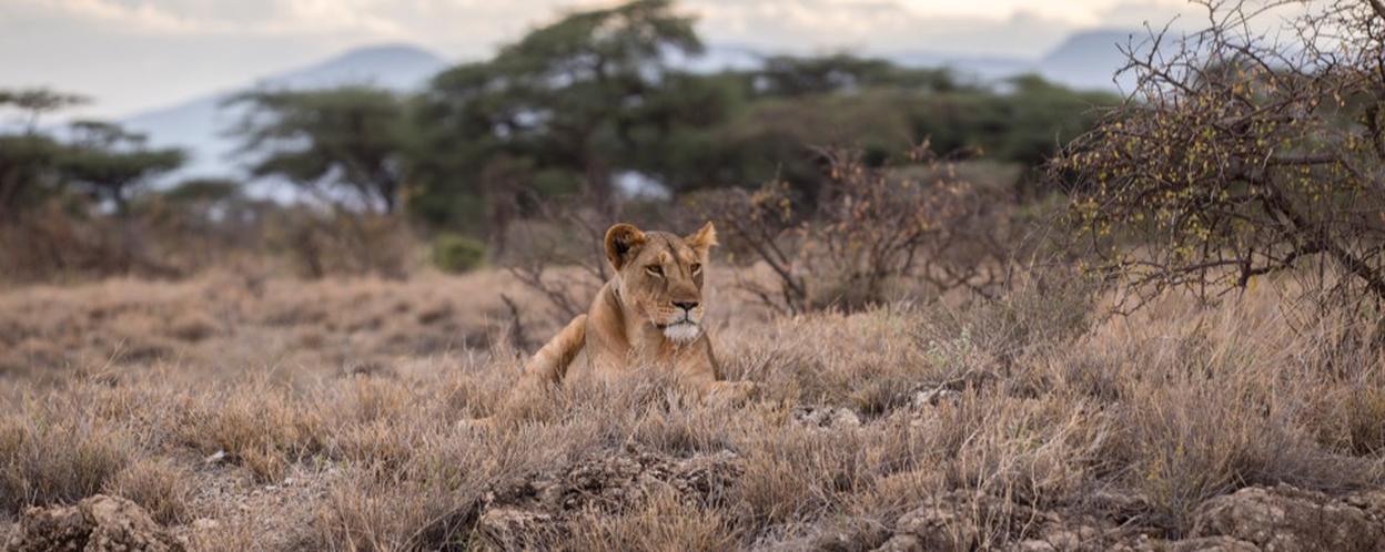 I'd love to connect with Kenyans!