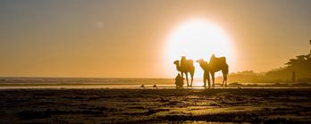 Advice on moving to Africa