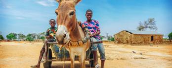 Nairobi social impact role